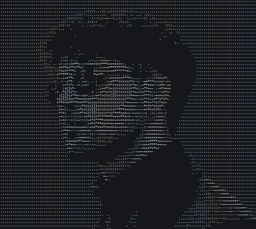 ASCII portrait of Vidit Dang